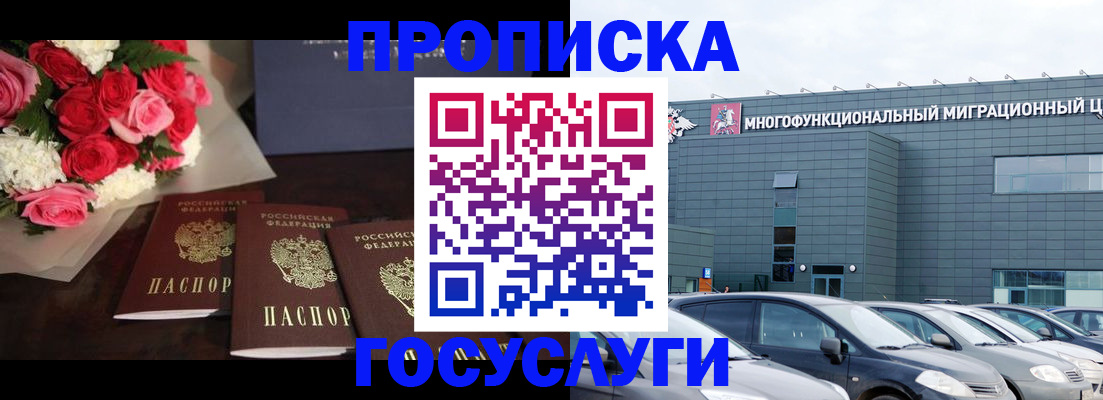 прописка законно в Могочи